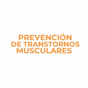 Prevención de Trastornos Músculo-esqueléticos en el trabajo