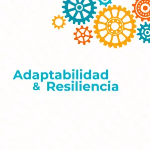 Adaptabilidad y resiliencia