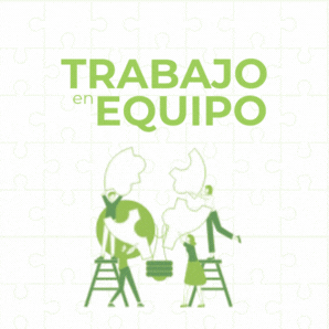 Trabajo en Equipo
