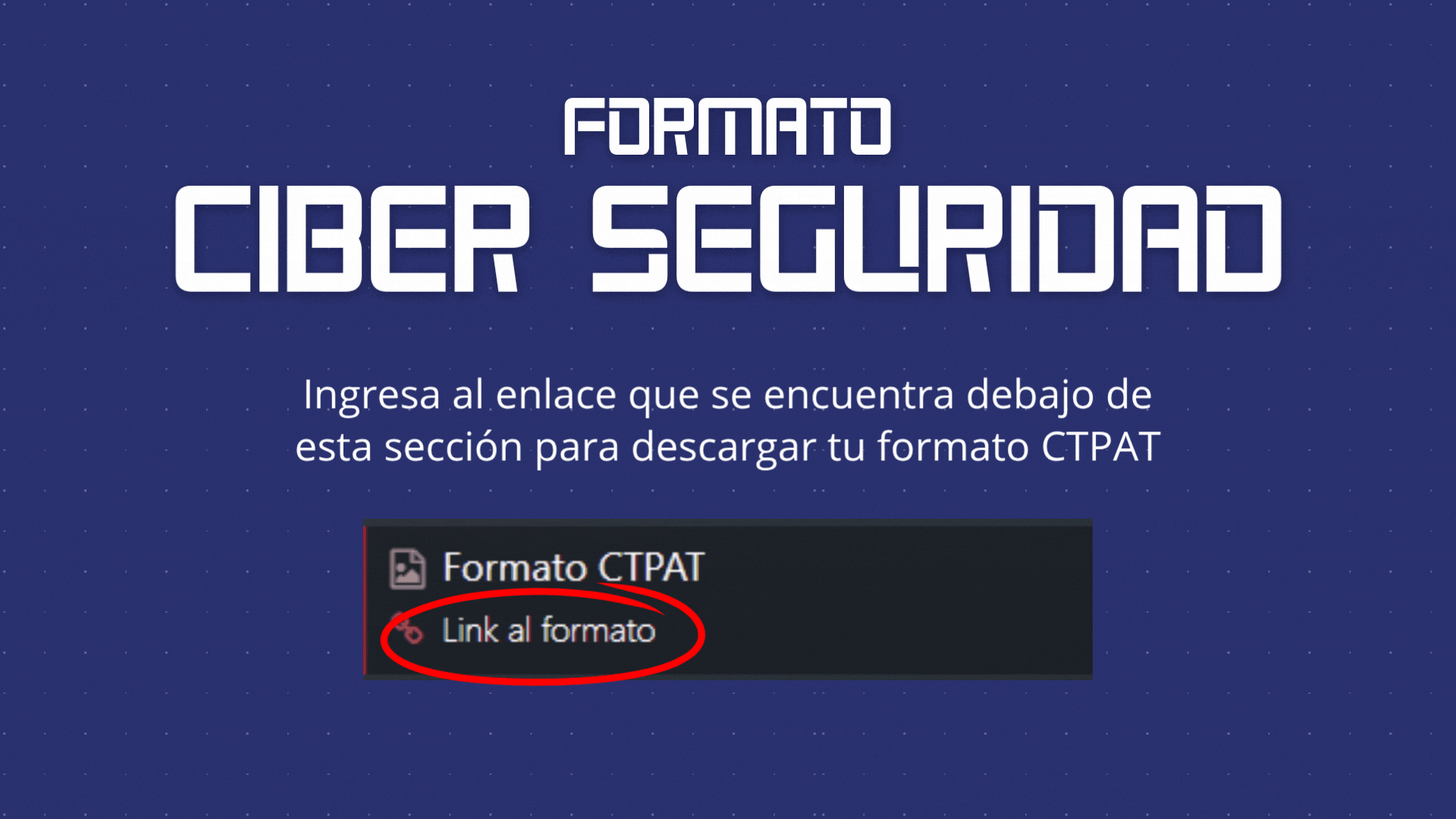 Formato CTPAT - Ciberseguridad